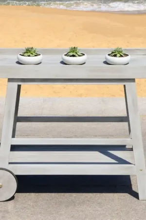 Holiday Sale Safavieh Renzo Indoor/Outdoor Bar Cart
