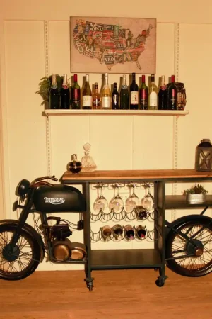 Tmph Bike Bar By Homeroots Final Sale