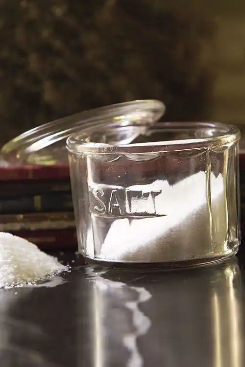 Professional Grade Vagabond Vintage Glass Salt Cellar - Set of 2
