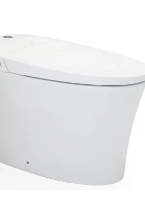 Discount R&T Plumbing E16 White Elongated Intelligent Bidet Toilet