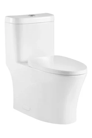 Ratel 16" x 30" White Gloss One-Piece Dual-Flush Floor-Mounted Toilet With Soft-Close Seat Flash Sale