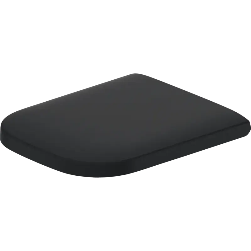 Buy Direct Duravit Happy D.2 17" x 14" Anthracite Toilet Seat (64591300)