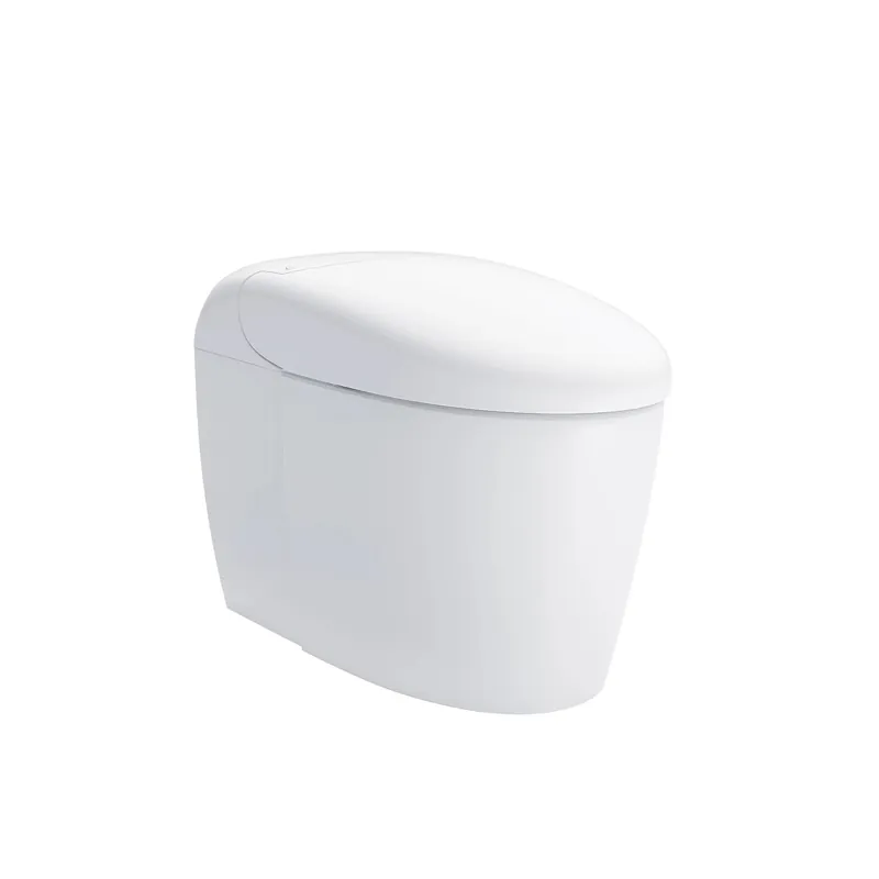 Free Delivery TOTO Neorest RS Cotton Integrated Smart Dual Flush Toilet