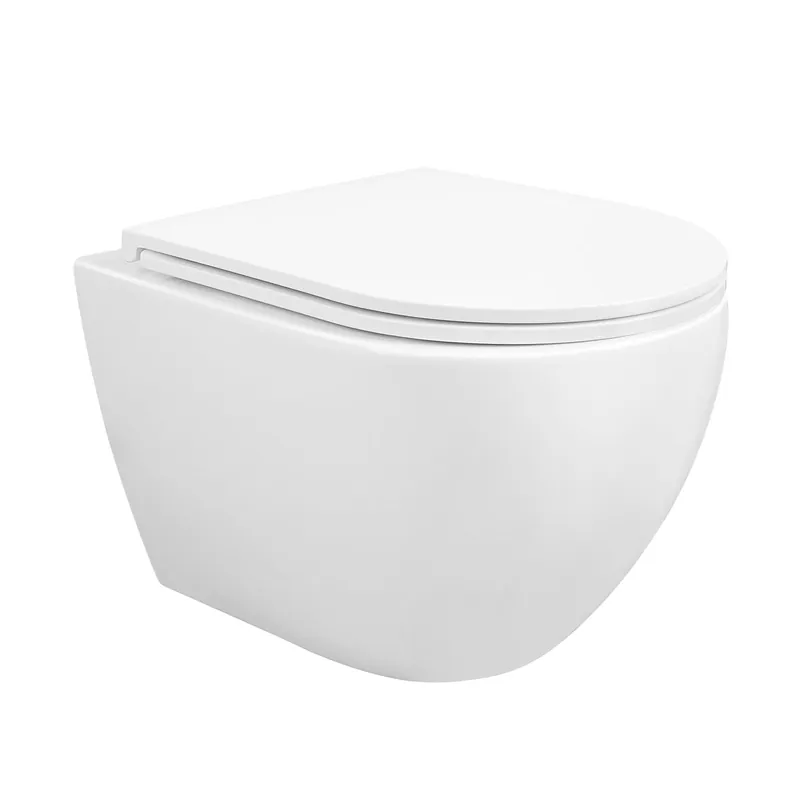Limited Edition DeerValley Liberty 1.1/1.6GPF Siphon Flushing Elongated White Wall-Mounted Toilet