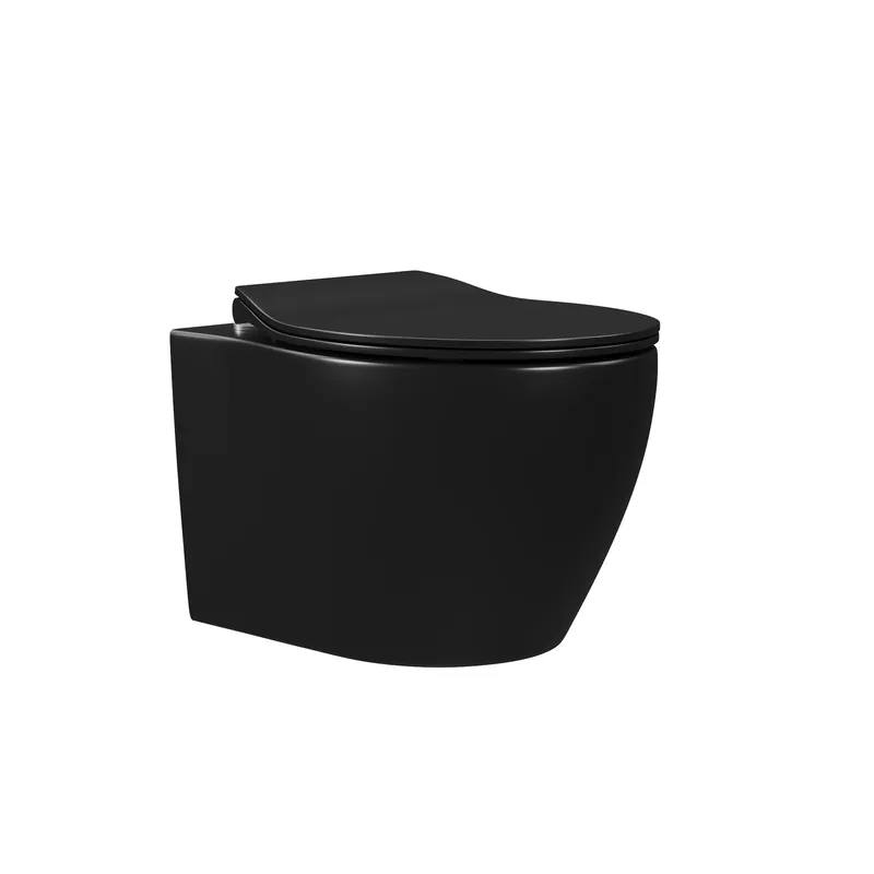 DeerValley Liberty 1.1/1.6GPF Dual-Flush Elongated Black Wall-Mounted Toilet Free Returns
