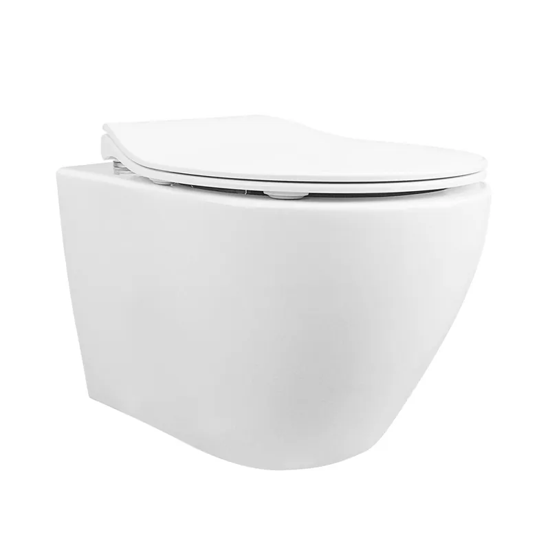 DeerValley Liberty 1.1/1.6GPF Dual-Flush Elongated White Wall-Mounted Toilet Same Day Shipping