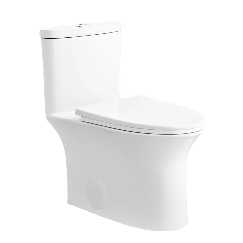 DeerValley Horizon 12" Rough-in Dual-Flush Elongated White One-Piece Toilet Buy Online