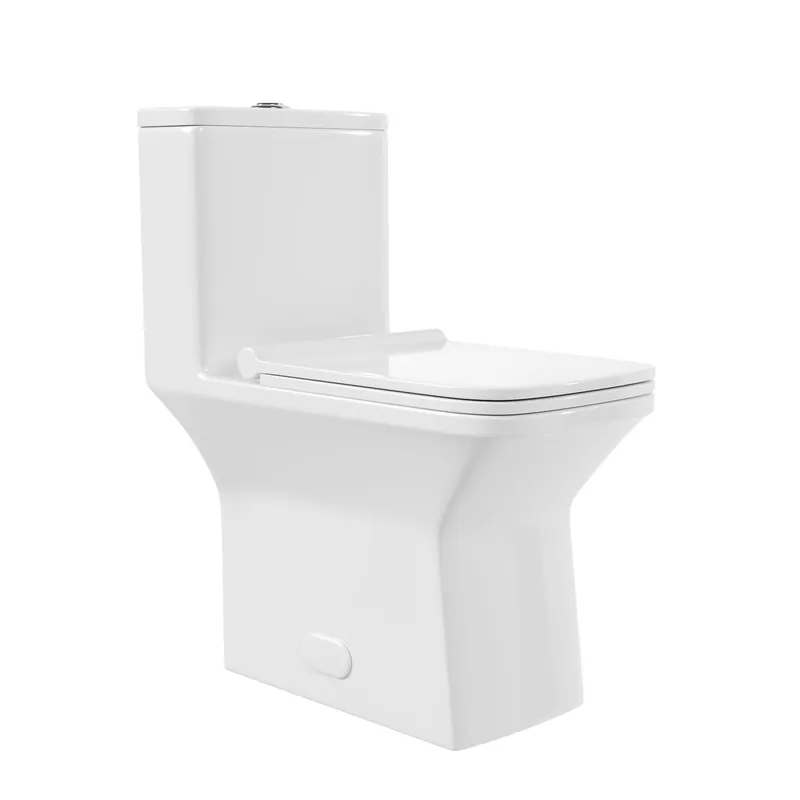 Worldwide Shipping DeerValley Ace 30" Dual-Flush Rectangular White One-Piece Toilet With Soft Closing Seat