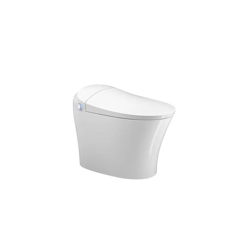 Castello USA New York White Full Function Smart Toilet With Adjustable Bidet Wholesale