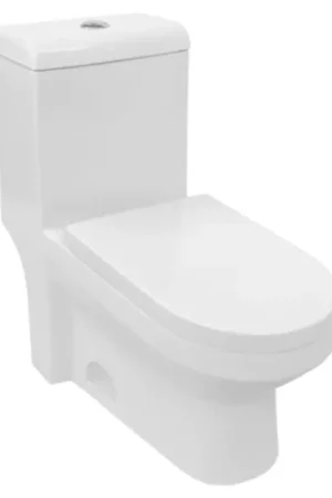 Genuine LessCare Single Flush One Piece Modern Toilet - LT9