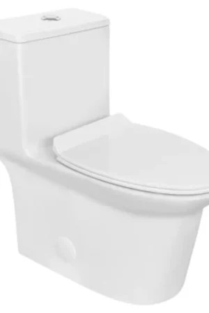 LessCare Single Flush One Piece Modern Toilet - LT7 Last Chance