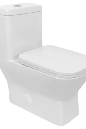 LessCare Single Flush One Piece Modern Toilet Fan Favorite
