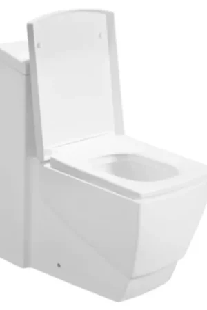 LessCare Dual Flush One Piece Modern Toilet Best Choice