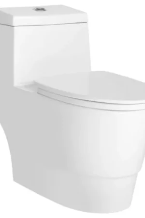 Free Returns LessCare Dual Flush Elongated One Piece Ceramic Toilet
