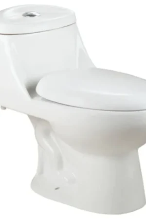 Limited Edition LessCare One Piece Elegant Modern Toilet with Soft Close Seat