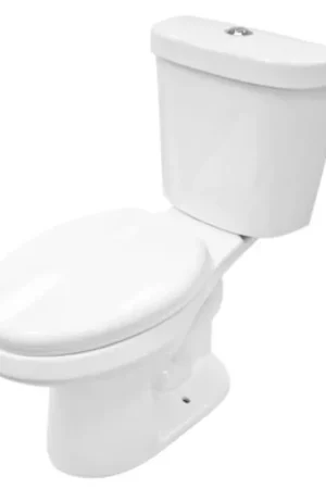 LessCare Dual Flush Elongated Two Piece Ceramic Toilet Affordable