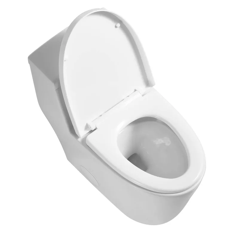 Blossom T9 05 1.1 / 1.6 GPF Dual Flush White One Piece Toilet With Slow-closing Seat Cover Don’t Miss Out