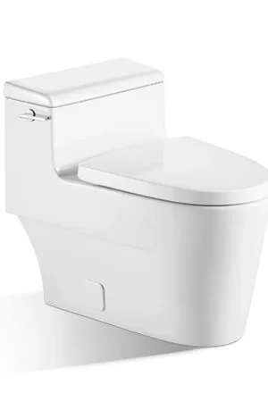 Today Only BNK BTO BL-0317 Siphon Flushing Toilet