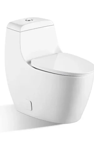 BNK BTO BL-0310 Siphon Flushing Toilet Certified