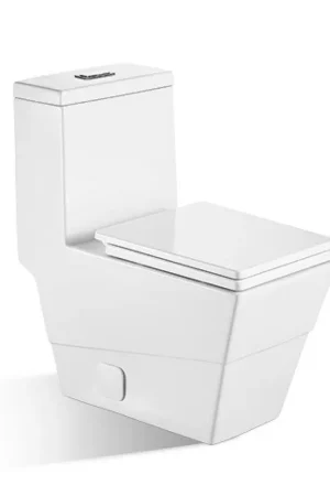 BNK BTO BL-038 Siphon Flushing Toilet Hot Picks