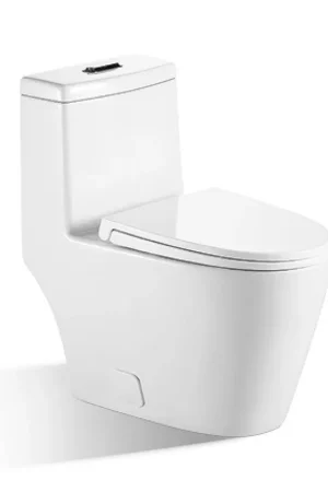 BNK BTO BL-136 Siphon Flushing Toilet Last Chance