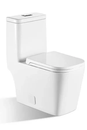 BNK BTO BL-128 Siphon Flushing Toilet Luxury