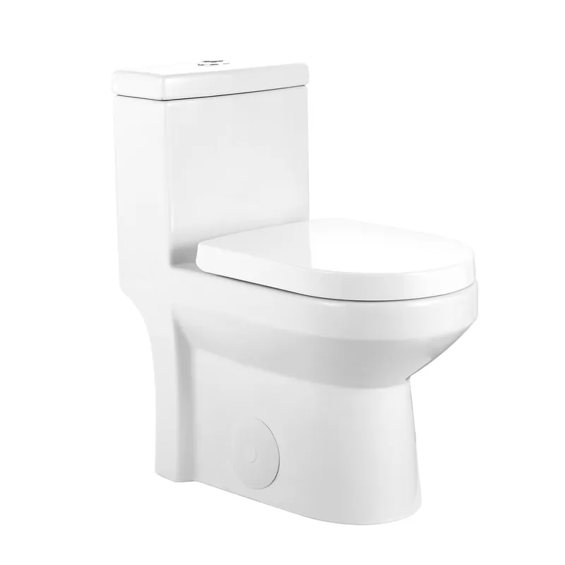 DeerValley Liberty Dual-Flush Elongated One-Piece Toilet With Soft Closing Seat Big Sale