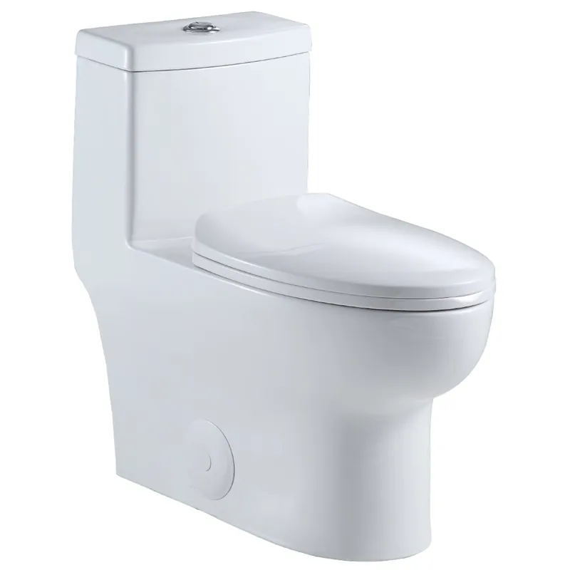 Best Choice Altair Venezia Elongated White Ceramic Dual Flush One-Piece Toilet With Seat