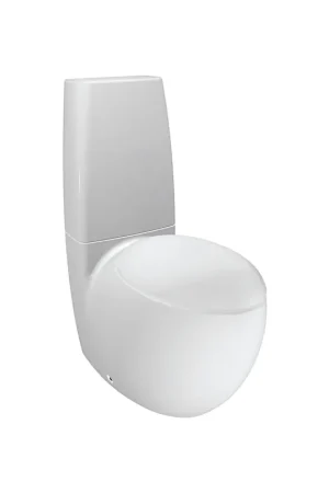 Laufen IlBagnoAlessi 15" x 37" 2-Piece White Washdown Floor-Mounted Toilet Instant Buy