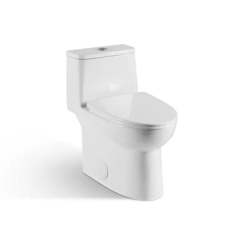 Ratel 15" x 28" White Gloss One-Piece Dual-Flush Floor-Mounted Toilet With Soft-Close Seat Premium