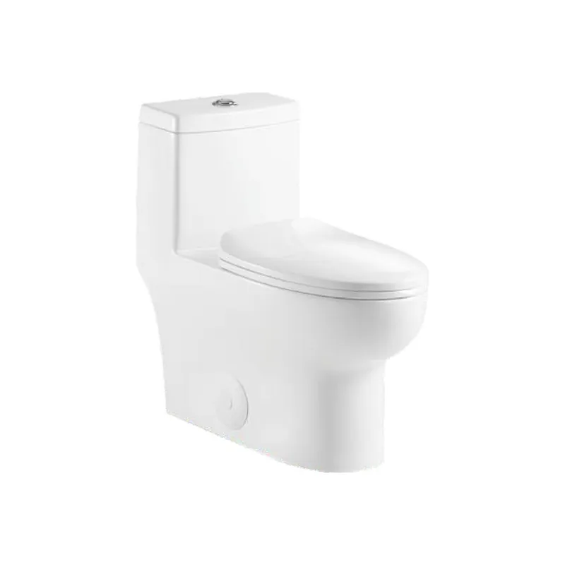 Ratel 14" x 28" White Gloss One-Piece Dual-Flush Floor-Mounted Toilet With Soft-Close Seat Trusted Brand