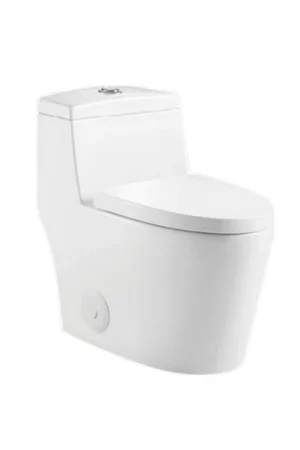 Save Now Ratel 16" x 27" White Gloss One-Piece Dual-Flush Floor-Mounted Toilet With Soft-Close Seat