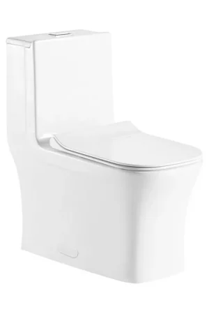 Big Sale Ratel 14" x 30" Square White Gloss One-Piece Dual-Flush Floor-Mounted Toilet With Soft-Close Seat