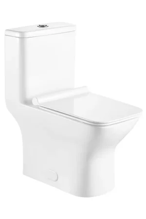 Deal Ratel 15" x 30" Square White Gloss One-Piece Dual-Flush Floor-Mounted Toilet With Soft-Close Seat