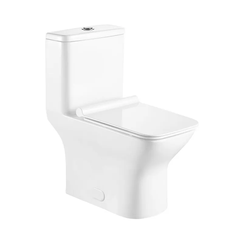 Deal Ratel 15" x 30" Square White Gloss One-Piece Dual-Flush Floor-Mounted Toilet With Soft-Close Seat