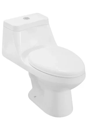 Ratel 17" x 26" White Gloss One-Piece Dual-Flush Floor-Mounted Toilet With Soft-Close Seat Free Returns