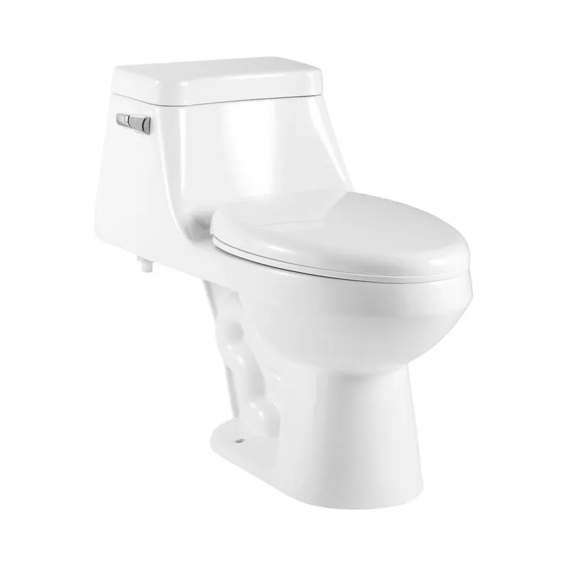 Brand New Ratel 17" x 26" White Gloss One-Piece Floor-Mounted Toilet With Soft-Close Seat