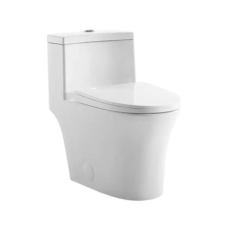 Modern Swiss Madison Bastille 16" x 27" One-Piece White Elongated Floor-Mounted Toilet With 1.1/1.6 GPF