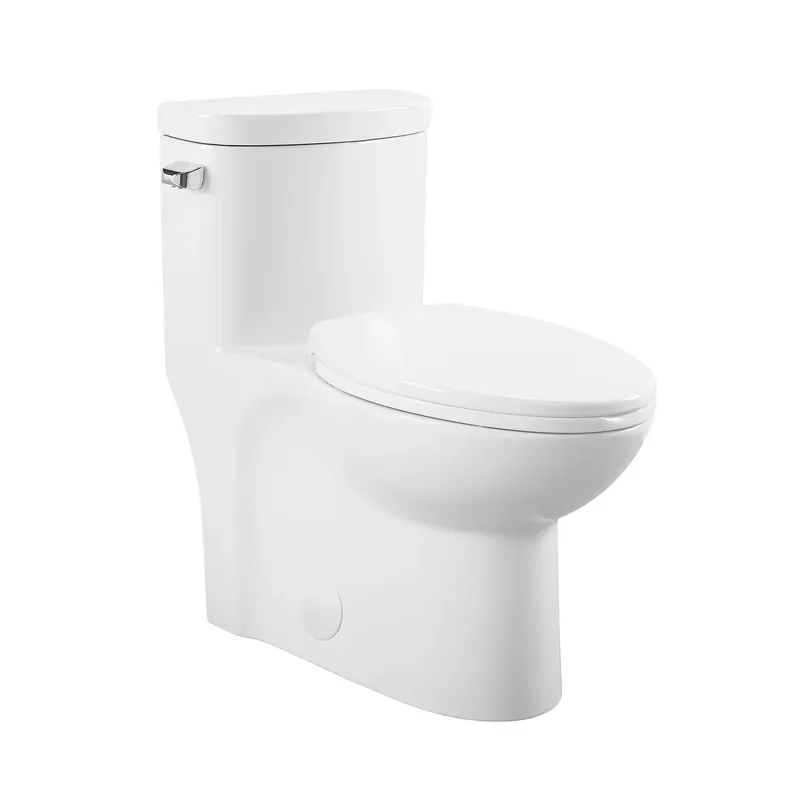 Don’t Miss Out Swiss Madison Sublime 16" x 28" White One-Piece Elongated Floor Mounted Toilet With 1.28 GPF Side Flush Function
