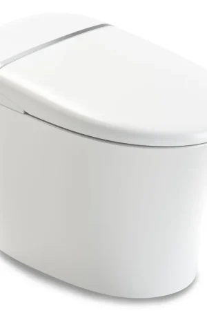 ANZZI ENVO Aura Series White Smart Bathroom Toilet With Remote Control and Foot Sensor Viral