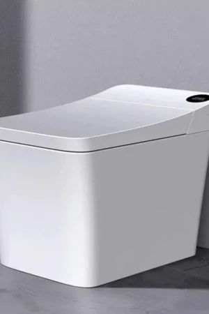 Trone Tahum Elongated White Luxury Toilet With Smart Bidet and Remote Control Holiday Sale