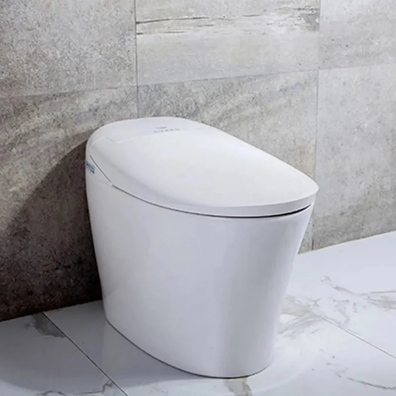 Worldwide Shipping Trone Aquatina White Elongated Electronic Luxury Toilet With Integrated Bidet