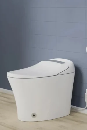 Instant Buy Trone Aquatina II White Elongated Electronic Luxury Toilet With Integrated Bidet