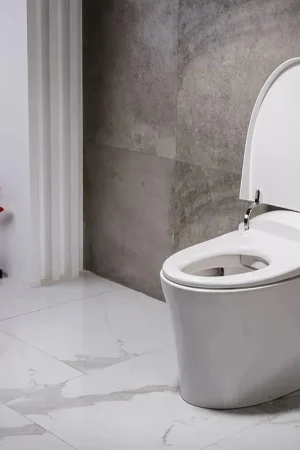 Trone Fountina White Elongated Electronic Luxury Toilet With Integrated Bidet Limited Edition