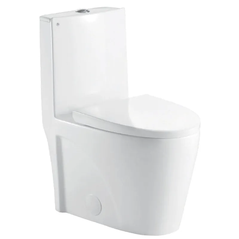Duko Hemlock One-Piece Dual Flush Elongated Toilet Bargain