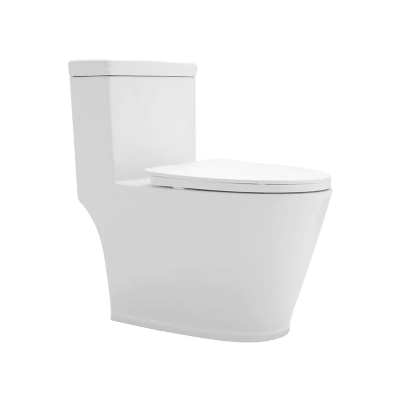 Secure Checkout Duko Cayuga II One-Piece Dual Flush Elongated Toilet