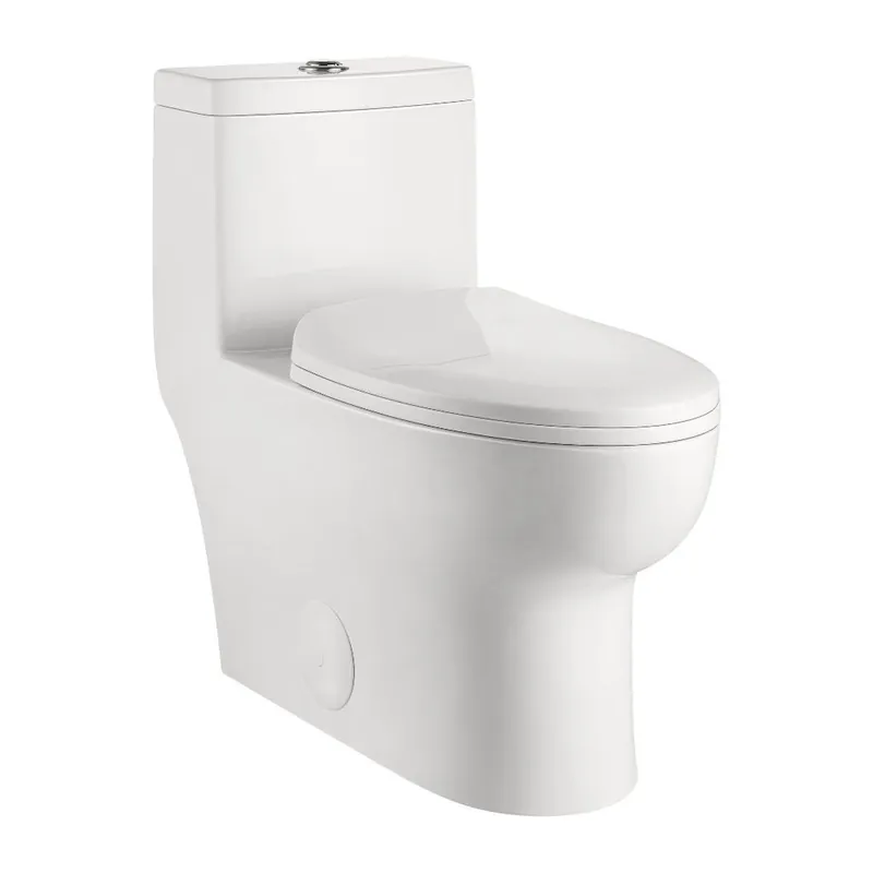 In Demand DeerValley Ally 14" x 28" 12" Rough-in Dual-Flush Elongated White Ceramic One-Piece Toilet With Silver Flush Button