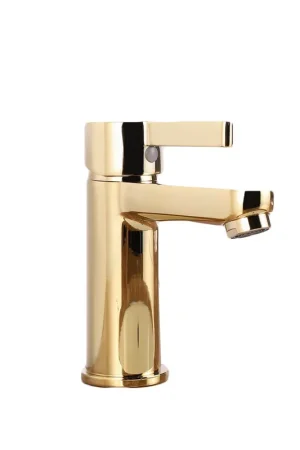 Don’t Miss Out Eviva Silky Gold Coated Single Handle Bathroom Sink Faucet