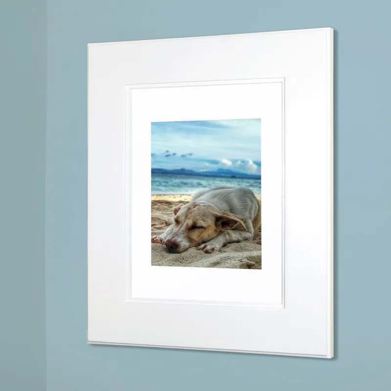 Fox Hollow Furnishings 14" x 18" White Concealed Shaker Style Standard Depth Natural Interior Recessed Medicine Cabinet With Mirror Fast Shipping
