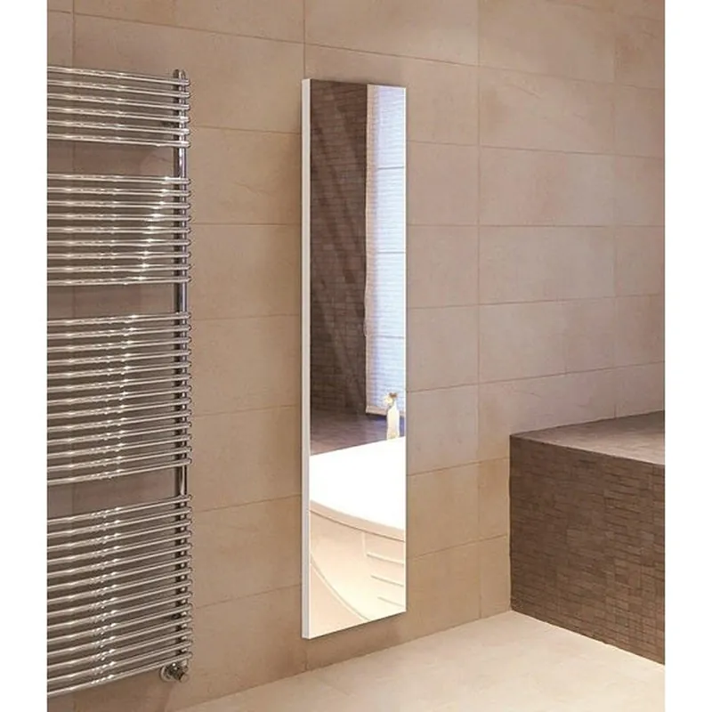 Sidler Tall 19" x 60" x 6" Full Length Right Hinged Mirror Door Anodized Aluminum Medicine Cabinet Buy Direct
